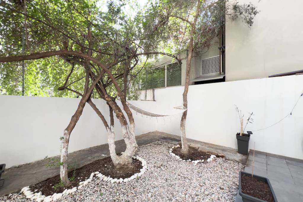 Luxury Studio With Garden Next To Acropolis Atina Dış mekan fotoğraf