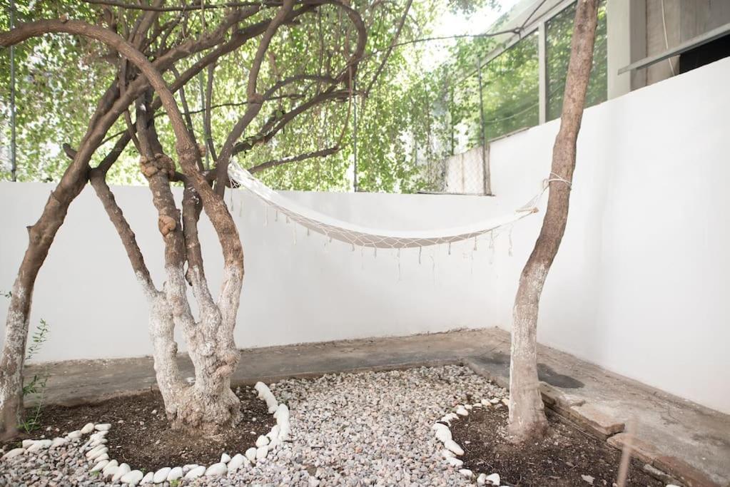 Luxury Studio With Garden Next To Acropolis Atina Dış mekan fotoğraf